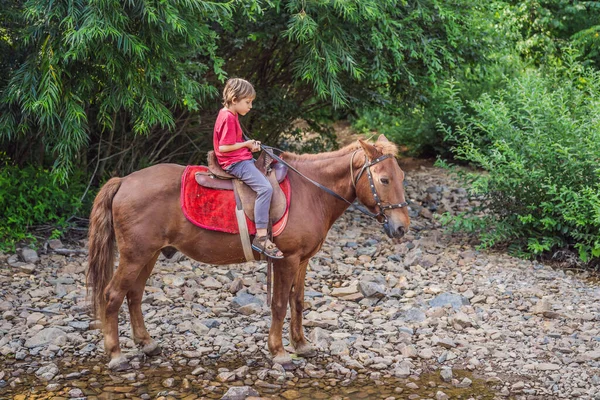 Garçon monte un cheval dans la forêt — Photo