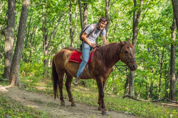 Stilig man rida på den svarta hästen i grön skog — Stockfoto