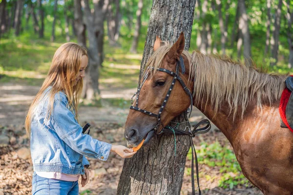 Красивые женщины дают морковку своей лошади — стоковое фото