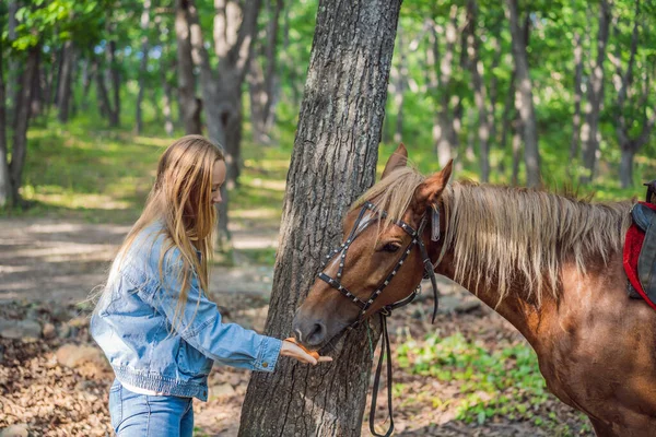 De belles femmes donnent la carotte à son cheval — Photo