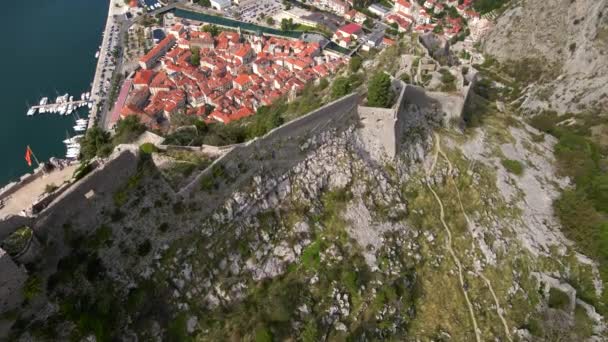 Foto aérea de la fortaleza San Juan San Giovanni sobre el casco antiguo de Kotor, el famoso lugar turístico de Montenegro. — Vídeos de Stock