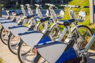 Şehir parkında. Şehirde kiralanacak bisikletler