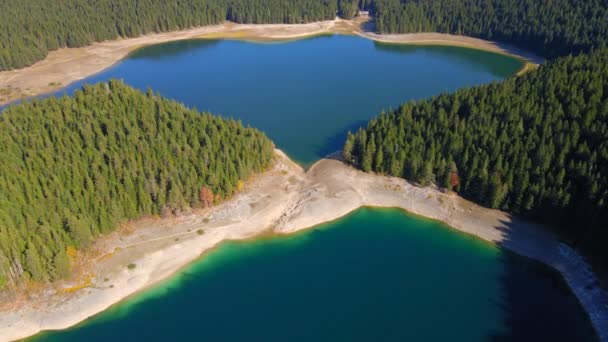 Fotografia aérea do Crno Jezero ou do lago Negro no parque nacional de Durmitor, na zona nobre de Montenegro. Viajar para Montenegro conceito — Vídeo de Stock