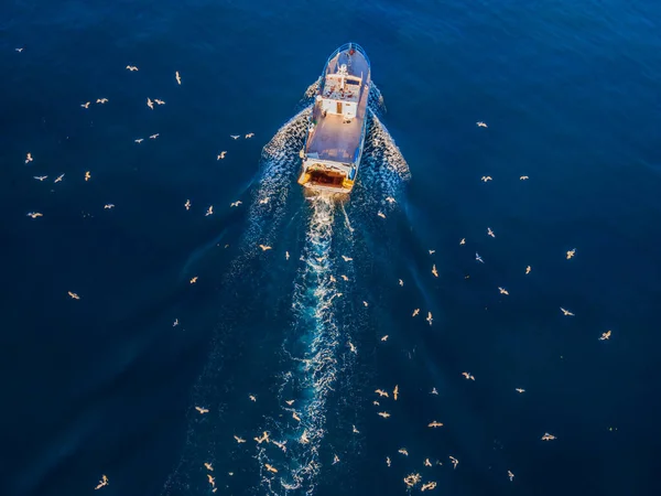 Professzionális halászhajó sok sirály jön vissza a kikötőben. Légi felvétel, drón. — Stock Fotó