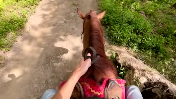 Aus der Perspektive eines Mannes, der mit seiner Familie in einem Wald auf einem Pferd reitet. Zeitlupenvideo — Stockvideo