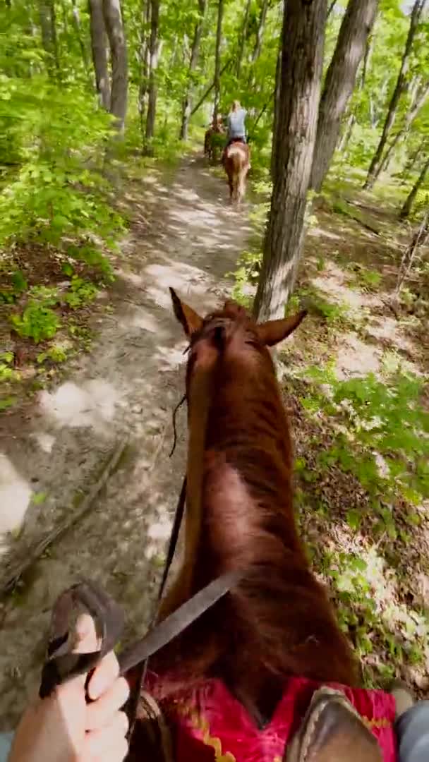 Vertical video. Point of view shot of a man riding a horse in a forest along with his family. Slowmotion video — Stock Video