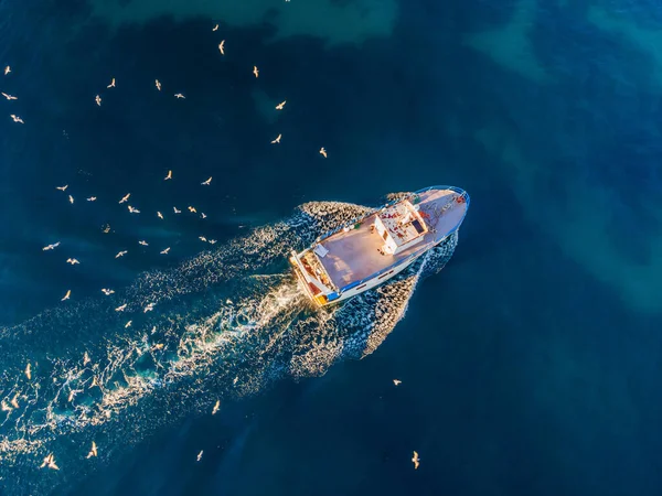 Professzionális halászhajó sok sirály jön vissza a kikötőben. Légi felvétel, drón. — Stock Fotó