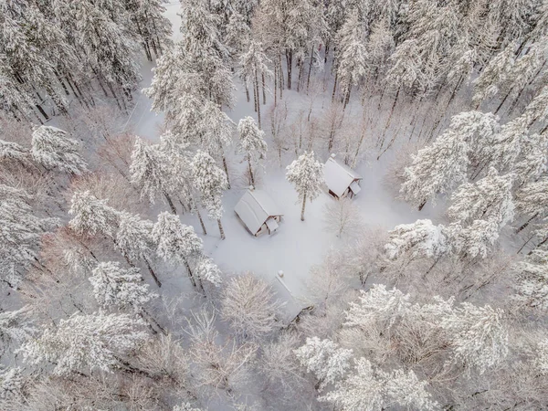 Αεροφωτογραφία χειμερινού πευκοδάσους καλυμμένου με χιόνι. Χειμερινή υφή δάσους. Αεροφωτογραφία. Αεροφωτογραφία ενός χειμερινού τοπίου. Χιονισμένο δάσος. Αεροφωτογραφία — Φωτογραφία Αρχείου