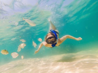 Şnorkel maskesi mutlu kadın mercan resifi deniz havuzunda tropikal balıklar ile sualtı dalış. Seyahat yaşam tarzı, su sporları açık macera, yaz plaj tatilinde yüzme dersleri