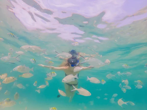 Boldog nő snorkeling maszk merülés víz alatti trópusi halak korallzátony tengeri medencében. Utazás életmód, vízisport szabadtéri élményfürdő, úszás órák a nyári tengerparti nyaraláshoz — Stock Fotó