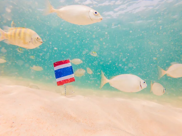 Beau poisson tropical sur la plage de sable blanc. avec le drapeau de la Thaïlande. Voyage en Thaïlande concept — Photo
