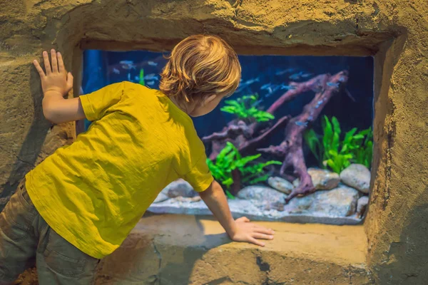 Αγοράκι, το παιδί που βλέπει τα ψάρια να κολυμπούν σε ενυδρείο, παιδιά που απολαμβάνουν υποβρύχια ζωή στο ενυδρείο — Φωτογραφία Αρχείου