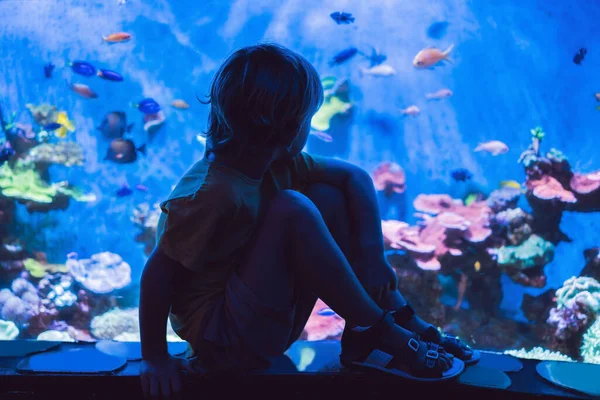 Kleine jongen, Kid kijken naar de Shoal van vis zwemmen in Oceanarium, kinderen genieten van onderwaterleven in aquarium — Stockfoto