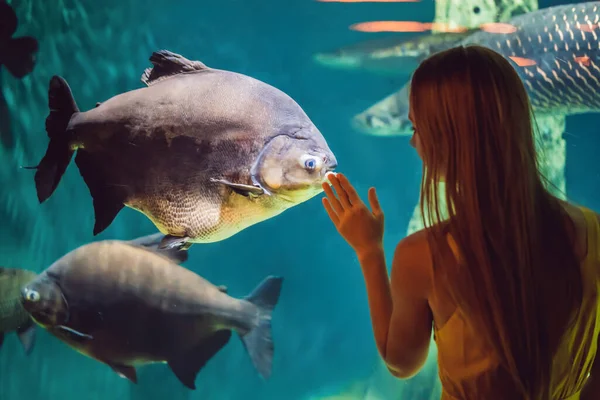 Genç bir kadın okyanus tünelinde iğneli bir balığa dokunuyor. — Stok fotoğraf