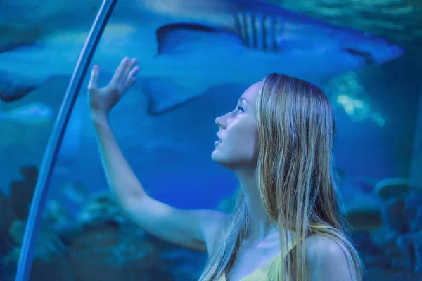 Genç bir kadın okyanus tünelinde iğneli bir balığa dokunuyor. — Stok fotoğraf