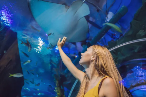 Giovane donna tocca un pesce di stingray in un tunnel oceanario — Foto Stock