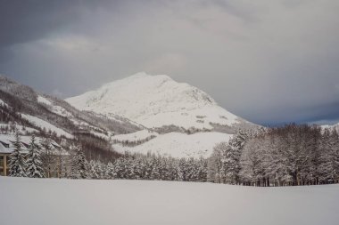 Kışın muhteşem bir manzara. Ormanda muhteşem dondurucu bir sabah. Güneş ışığı altında karla kaplı çam ağaçları. Fantastik dağlık arazi. Harika bir kış geçmişi var. Harika Noel Sahnesi