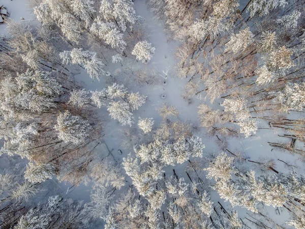 Αεροφωτογραφία χειμερινού πευκοδάσους καλυμμένου με χιόνι. Αεροφωτογραφία ενός χειμερινού τοπίου. Χιονισμένο δάσος — Φωτογραφία Αρχείου