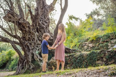 2000 yaşındaki zeytin ağacına bakan anne ve oğul turistler: Budva, Karadağ 'daki Stara Maslina. Avrupa 'nın en eski ağacı olduğu ve turistik bir ilgi odağı olduğu düşünülüyor. Arka planda...