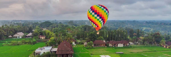 Hot air balloon over the green paddy field. Composition of nature and blue sky background. Travel concept BANNER, LONG FORMAT — Stock Photo, Image