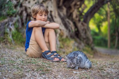 Erkek turist ve 2000 yaşındaki zeytin ağacına bakan bir kedi: Budva, Karadağ 'daki Stara Maslina. Avrupa 'nın en eski ağacı olduğu ve turistik bir ilgi odağı olduğu düşünülüyor. Arka planda...