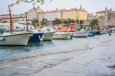 Avrupa 'da deniz kıyısında küresel ısınma seviyesi yükseliyor