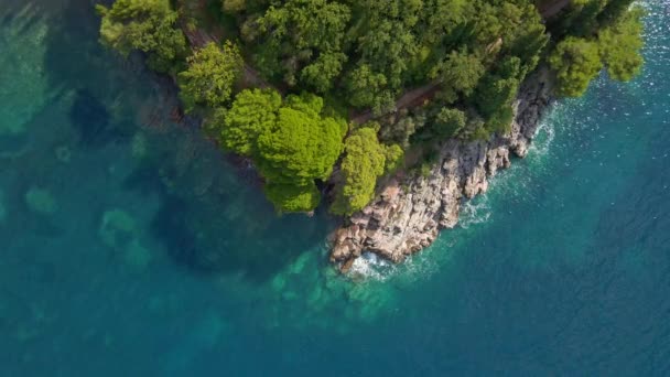 Roca de forma triangular con árboles y pasarela y agua de mar turquesa que la rodea. Un disparo aéreo. Vista plana hacia abajo. — Vídeos de Stock