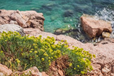 Karadağ 'da denizde çok güzel kayalar var. Karadağ Avrupa 'da popüler bir turizm beldesi