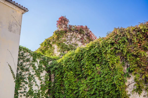 Fantastisk utsikt över den gamla staden Budva — Stockfoto