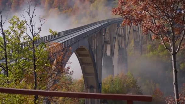 モンテネグロ北部のタラ川渓谷に架かる壮大なジュルジェヴィツァ橋を訪れる女性観光客。秋の季節に撮影。東ヨーロッパの概念への旅行 — ストック動画