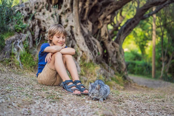 Niño turista y un gato mirando 2000 años de edad olivo: Stara Maslina en Budva, Montenegro. Se cree que es el árbol más antiguo de Europa y es una atracción turística. En el fondo la — Foto de Stock