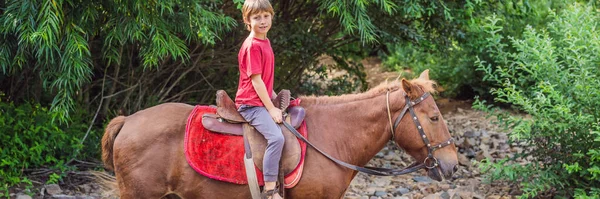 Niño monta un caballo en el bosque BANNER, FORMATO LARGO — Foto de Stock