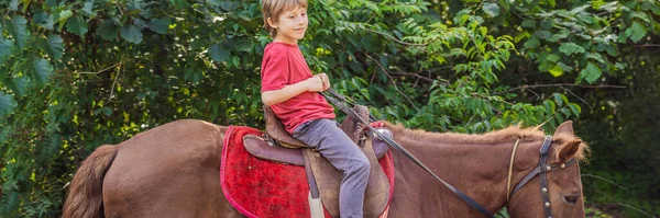 Niño monta un caballo en el bosque BANNER, FORMATO LARGO — Foto de Stock