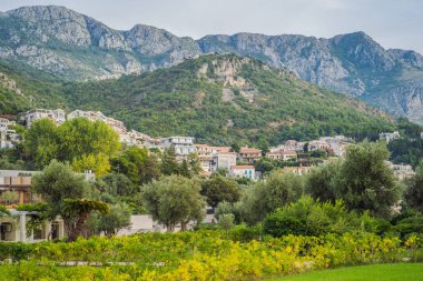 Güneşli yaz gününde Sveti Stefan plajı, Budva, Karadağ