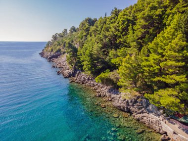 Karadağ 'ın Adriyatik kıyıları. Turkuaz Mediteran denizi ve yeşil kozalaklı ağaçlarıyla kayalık kıyı. Harika bir yaz manzarası. İHA