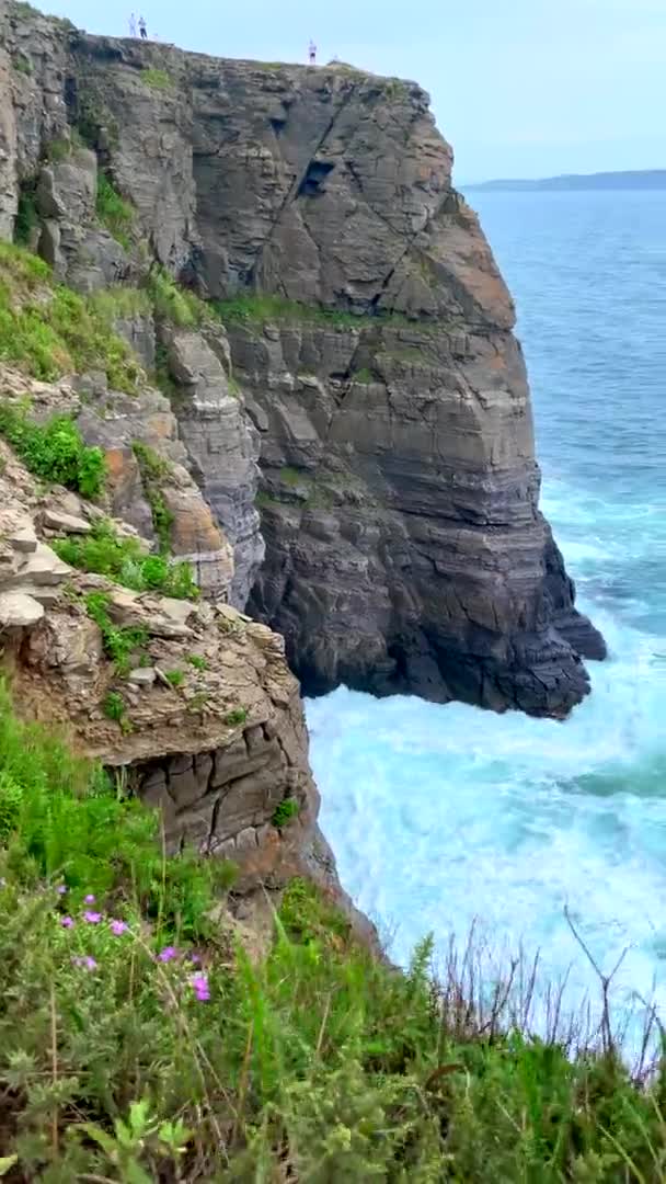 垂直ビデオ。背の高い岩、強風、海の大きな波 — ストック動画