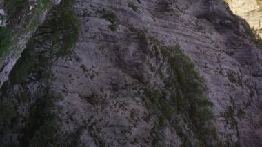 Dikey video. Moracha nehrinin muhteşem kanyonu. Karadağ 'a Seyahat