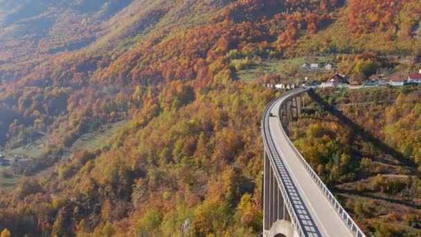 モンテネグロ北部のタラ川渓谷にかかる壮大なジュルジュジェヴィツァ橋の空中ビデオ。秋の季節に撮影。東ヨーロッパの概念への旅行 — ストック動画