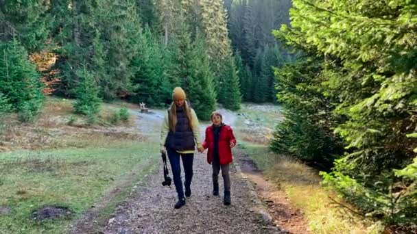 A young woman and her son visit the Crno jezero or the Black lake near the city of Zabljak. Travel to northern Montenegro. Slowmotion video — Stock Video