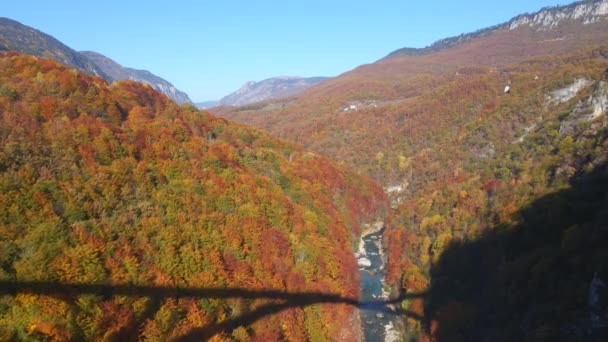 モンテネグロ北部のタラ川渓谷にかかる壮大なジュルジュジェヴィツァ橋の空中ビデオ。秋の季節に撮影。東ヨーロッパの概念への旅行 — ストック動画