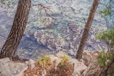 Karadağ 'ın Adriyatik Denizi kıyısındaki güzel yeşil Kraliyet Parkı Milocer' in panoramik yaz manzarası