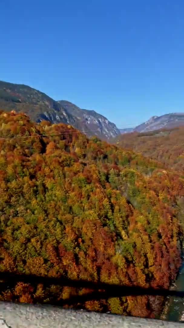 Vertikales Video. Die Tara schoss von der Djurdjevica-Brücke im Norden Montenegros. Gedreht in der Herbstsaison. Konzept für Reisen nach Osteuropa — Stockvideo