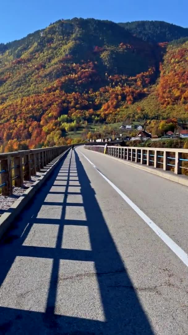 Vertikal video. Tarafloden sköts från Djurdjevica-bron i norra delen av Montenegro. Skjuten under höstsäsongen. Begreppet resa till Östeuropa — Stockvideo
