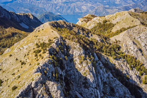 Letni krajobraz górski w Parku Narodowym Lovcen, Czarnogóra. Słoneczny letni dzień — Zdjęcie stockowe