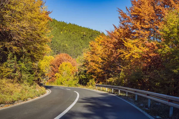Beautiful autumn view of yellow trees, road and mountains, Montenegro — Foto Stock