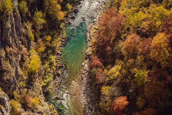 Mountain river Tara and forest in Montenegro. Travel around Montenegro concept — Foto Stock