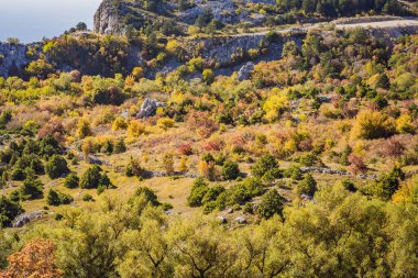Karadağ 'ın sarı ağaçlarının güzel sonbahar manzarası