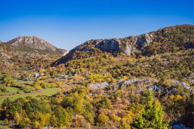 Karadağ 'ın sarı ağaçlarının güzel sonbahar manzarası