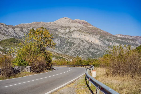 Beautiful autumn view of yellow trees, road and mountains, Montenegro — Foto Stock