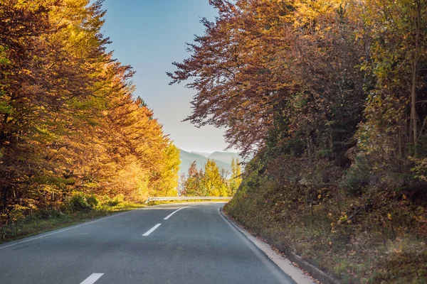 Bella vista autunnale di alberi gialli, strada e montagne, Montenegro — Foto Stock